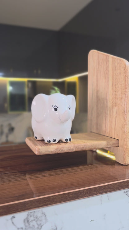 Adjustable Book Stand